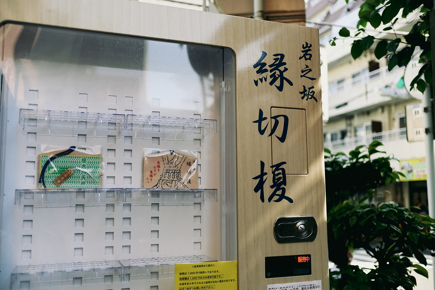 JR西日本 伯備線 黒坂〜根雨間「榎踏切」 . JR貨物EF64-1039号機「鳥取ねんりんピックHM」 愛知機関区愛知機関区A94仕業列車番号3085レ 約2時間遅れ岡山貨物ターミナル発→伯耆大山行き 通常なら5時08分に黒坂駅を通過する3085レですが、約2時間遅れで通過して