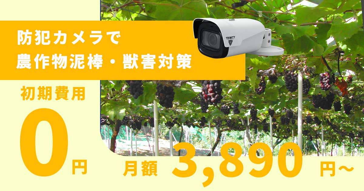 新品未開封☆子猫物語DVD畑正憲 ムツゴロウ安心・匿名配送 メルカリShops：グッド