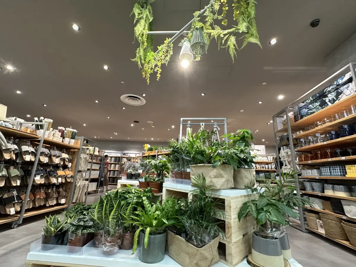 Standard Products 二子玉川ライズ・ショッピングセンター店店舗検索DAISO ダイソー 公式企業サイト