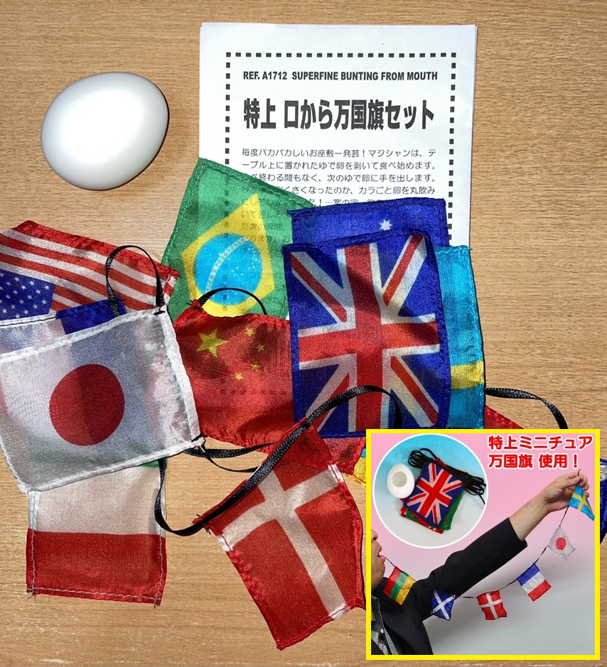 Amazon.co.jp: 布製 万国旗 100ヶ国 ランダム25m : おもちゃ