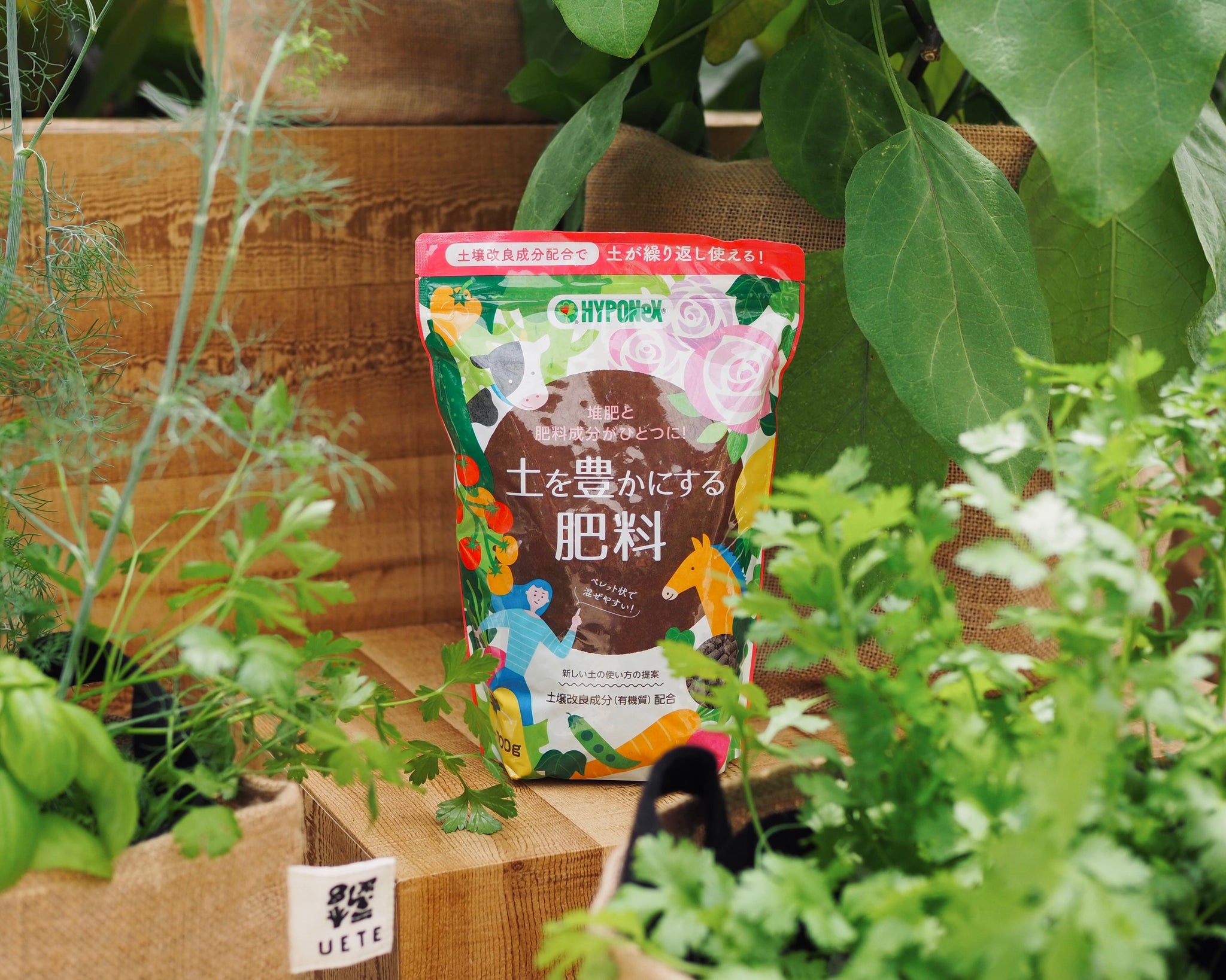 コンテナボックス 収納ボックス 屋外 収納 キャンプ レジャー ベランダ アウトドア 防災 車 62L バックル フタ付き 蓋 MRV700RVボックス アイリスオーヤマ Amazon.co.jp: コンテナボックス 収納 65l 蓋付き 屋外 収納ボックス おしゃれ アウトドア 工具 車道具 耐荷重