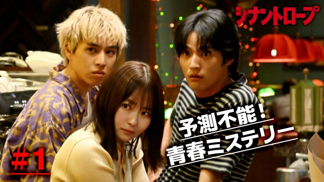 探偵ナイトスクープの増田紗織アナウンサー特集TikTok