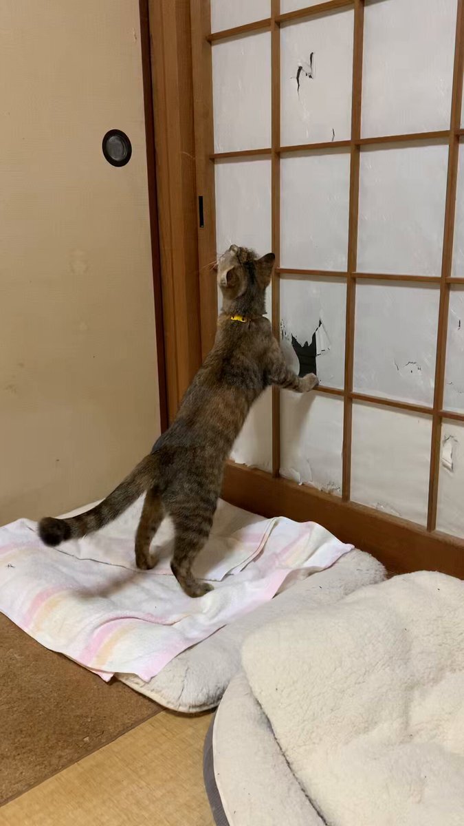 あべラウ」のYahoo!リアルタイム検索 - X 旧Twitter をリアルタイム検索