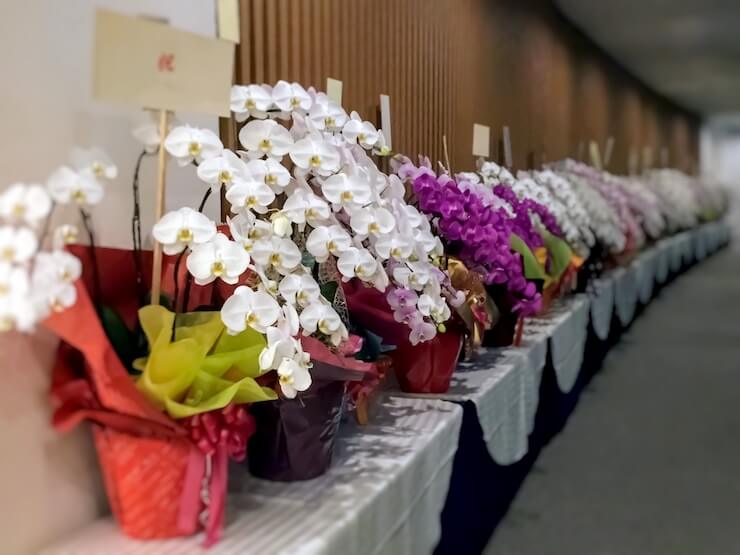 開店祝い・開業祝い・開院祝いのフラワーギフトフラワーキッチン自由が丘