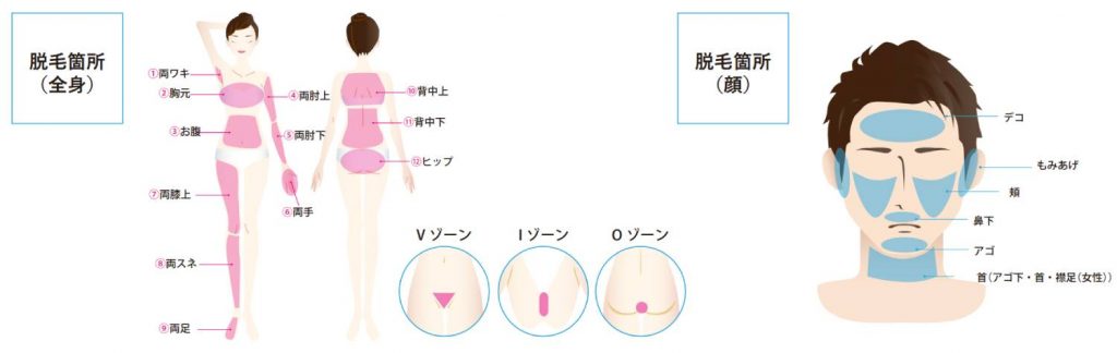 たかの友梨ビューティクリニック（不二ビューティ） テーマ解説インタビュー | マイナビキャリア甲子園～国内最大級の高校生ビジネスコンテスト～