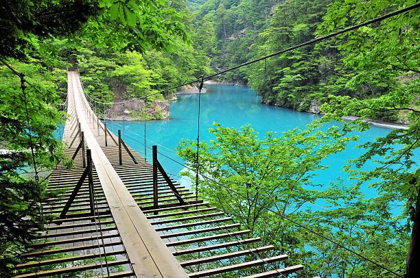 마타' 조세형 코치, 