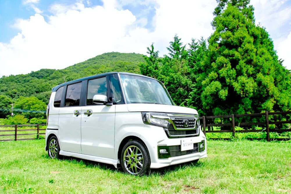 セリア 防虫ネット 4個セット 虫対策 家庭菜園 - メルカリ