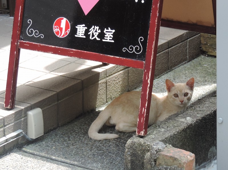 重役室（松山市/サービス店・その他店舗）の地図｜地図マピオン