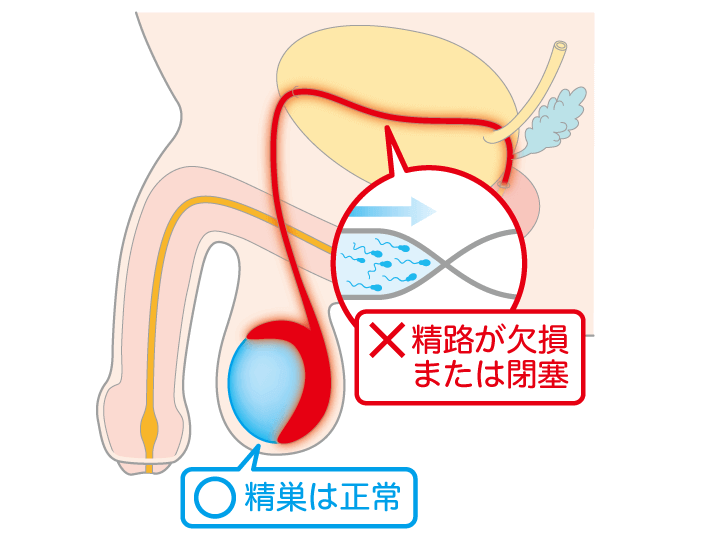 精液は汚くないでAVとかで実際舐めて美味しいって言ってる女おるで」→「演技やで」「性教育の敗北」「じゃあ飲め」「創作物と現実の区別をつけましょう」 -  Togetter [トゥギャッター]