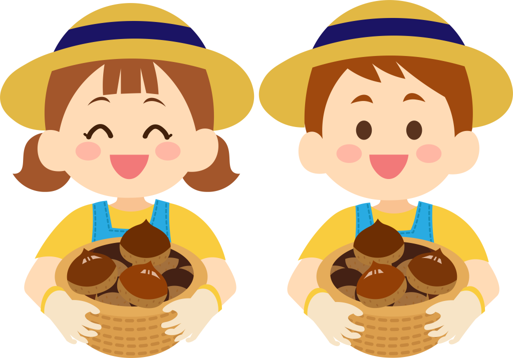 愛媛県喜多郡内子町立山で栗拾いのお仕事！愛媛県喜多郡内子町の農業バイトは AIagri.