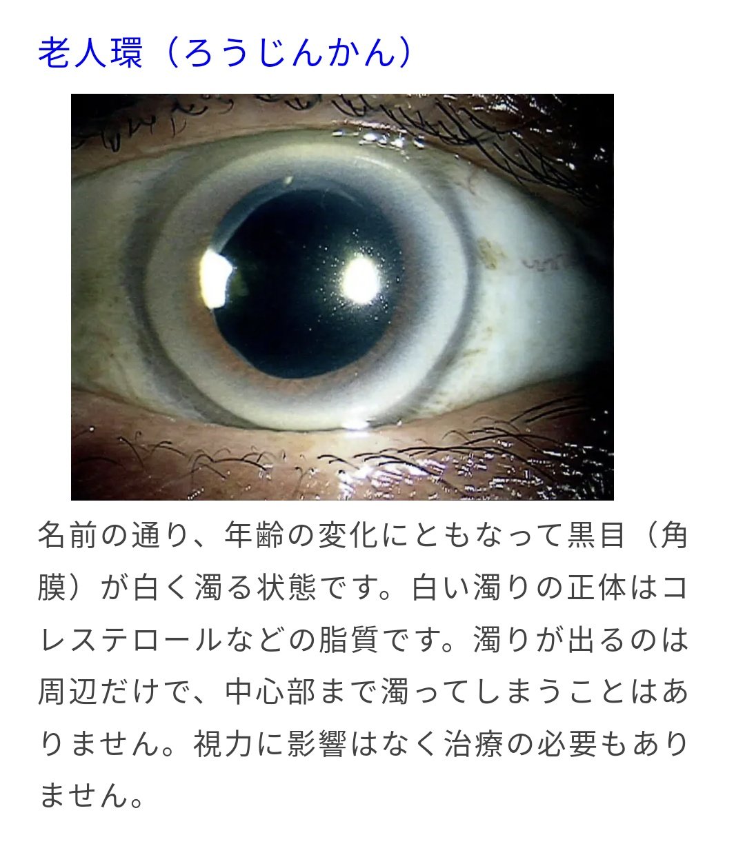 ビッグモーター 新社長 カラコン 謝罪TikTok