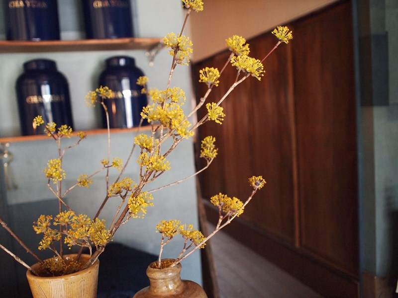 世田谷ベースのようなアメリカンガレージスタッフブログJ・クリエイティブ鶴岡市・酒田市の輸入住宅ブランド「ジェリーホーム」