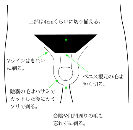 なぜ日本人は究極のムダ毛「陰毛」を処理しないの？アホなの？ | 株式会社LIG(リグ)｜DX支援・システム開発・Web制作