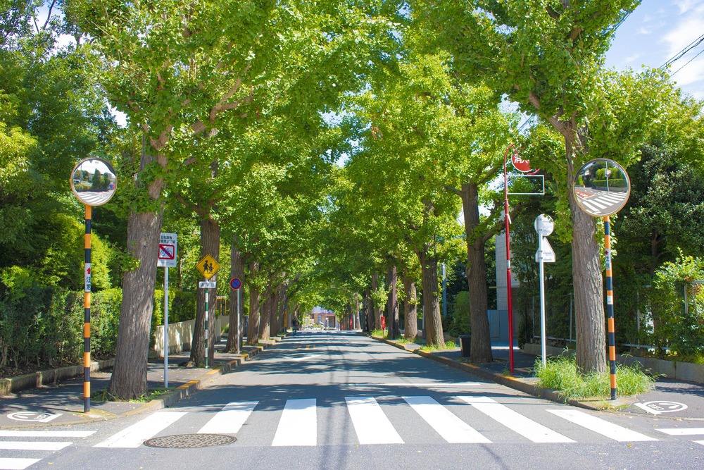 de LALA (ドララ)の部屋情報｜東京都 小平市｜ハッピーホテル