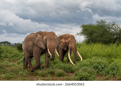 超特急が思う“スーパースター”の条件とは。―超特急Blu-ray『Superstar』インタビューEmo!miuエモミュ