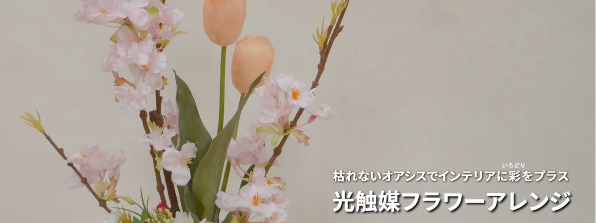 高級なバラもお得に。廃棄されるはずの花で日常を彩る「プラスフラワー」を活用しない手はない | Hanako Web