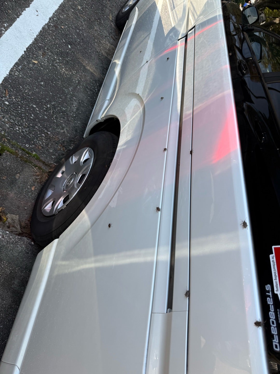 イラスト素材：スーツの女性が困った表情でお手上げ状態を表現する様子 上半身 単色 線画のイラスト素材81825178- PIXTA