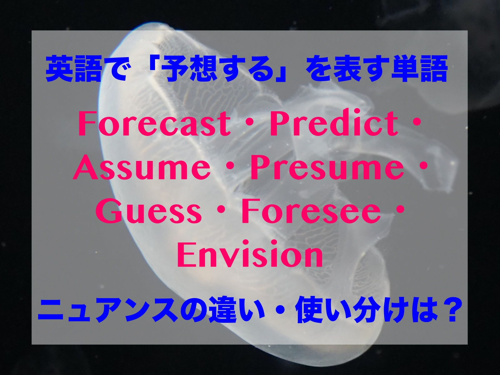 赤ちゃんじゃなくて何なの？ babyが示す隠れた意味 |