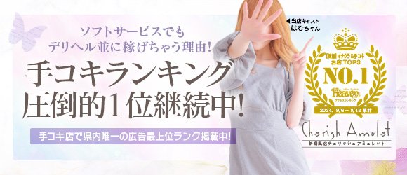 BIANCA～主人の知らない私～新潟店（ビアンカシュジンノシラナイワタシニイガタテン）の募集詳細｜新潟・新潟市の風俗男性求人｜メンズバニラ