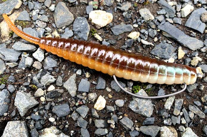 JPALSで生涯学習の記録をつけよう公益社団法人東京都薬剤師会