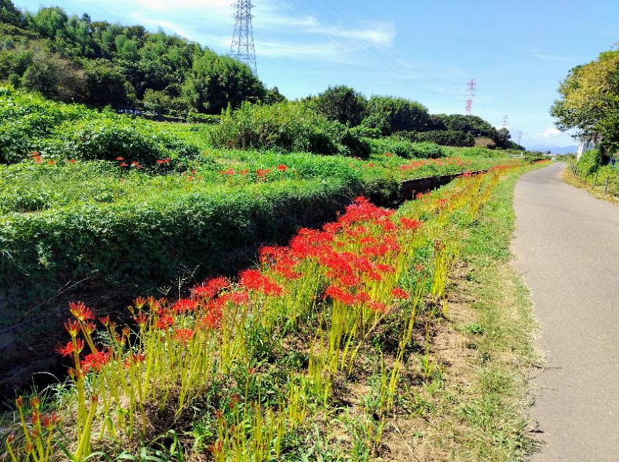 花束 5,000円 - MILK FLOWERS WEB SHOP