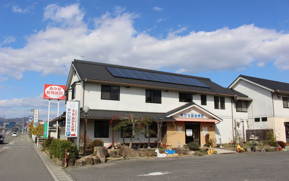 あかね動物病院の評判・口コミ - 広島県福山市【動物病院口コミ検索 カルーペット】