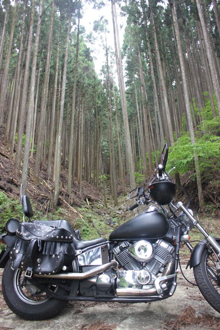 ドラッグスター400クラシック フルカスタム ヤマハ ドラッグスター400 プロが造るカスタム 最新の