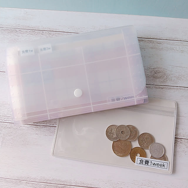 セリア「コレ使えばお金が貯まる」とウワサのケースが思ってた以上に使いやすい！サンキュ