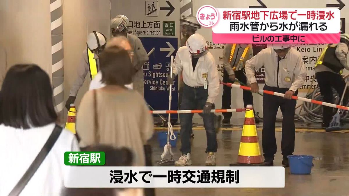 @sputnik_jp's video Tweet