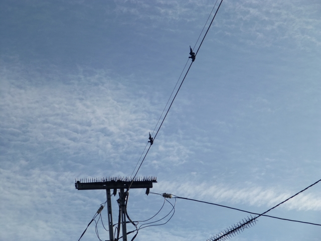 愛媛県松山市の婦人科松岡婦人科クリニッククリニックブログ