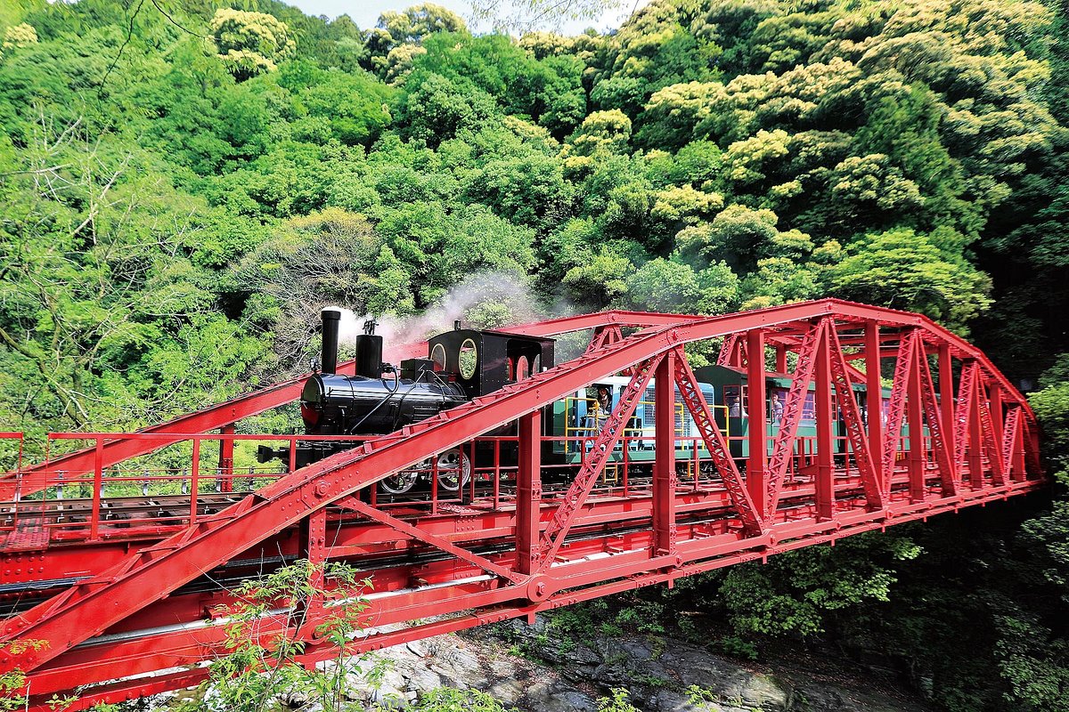マイントピア別子です😀 本日かつお祭り開催中です とっても美味しそうに焼けてますよ♪ キッチンカーも来てます😀 是非 お越し下さいね☆マイントピア別子道の駅愛媛新居浜かつお祭り愛南温泉キッズパーク遊びに来てね