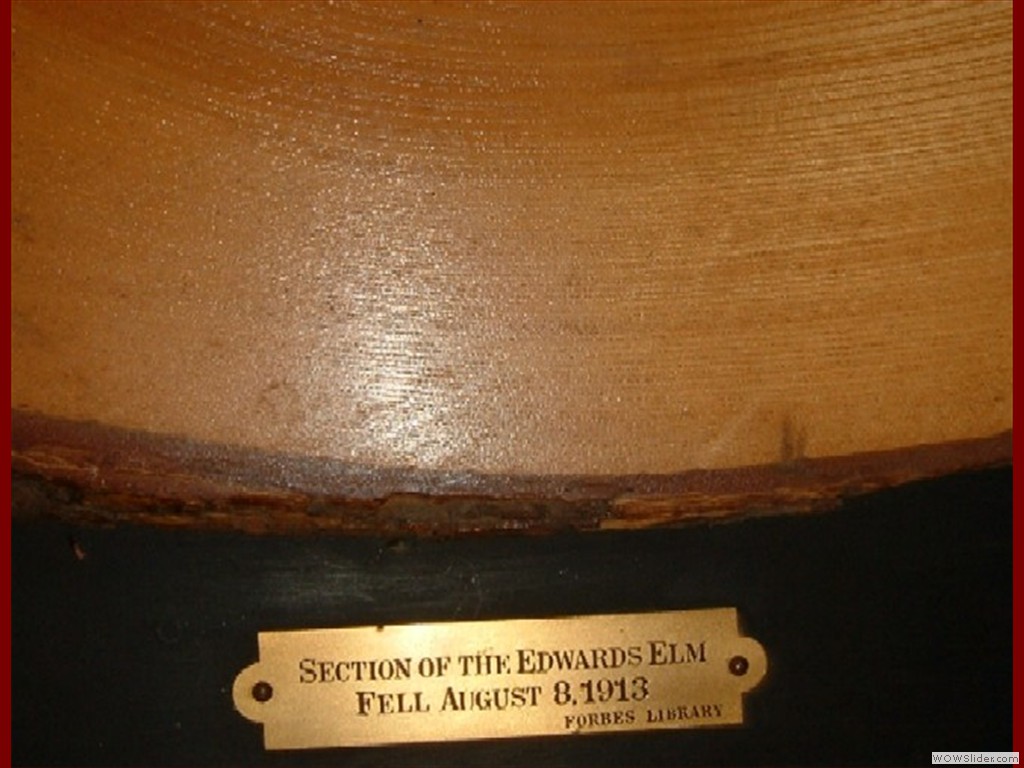 入荷商品！ - シオンブックストア