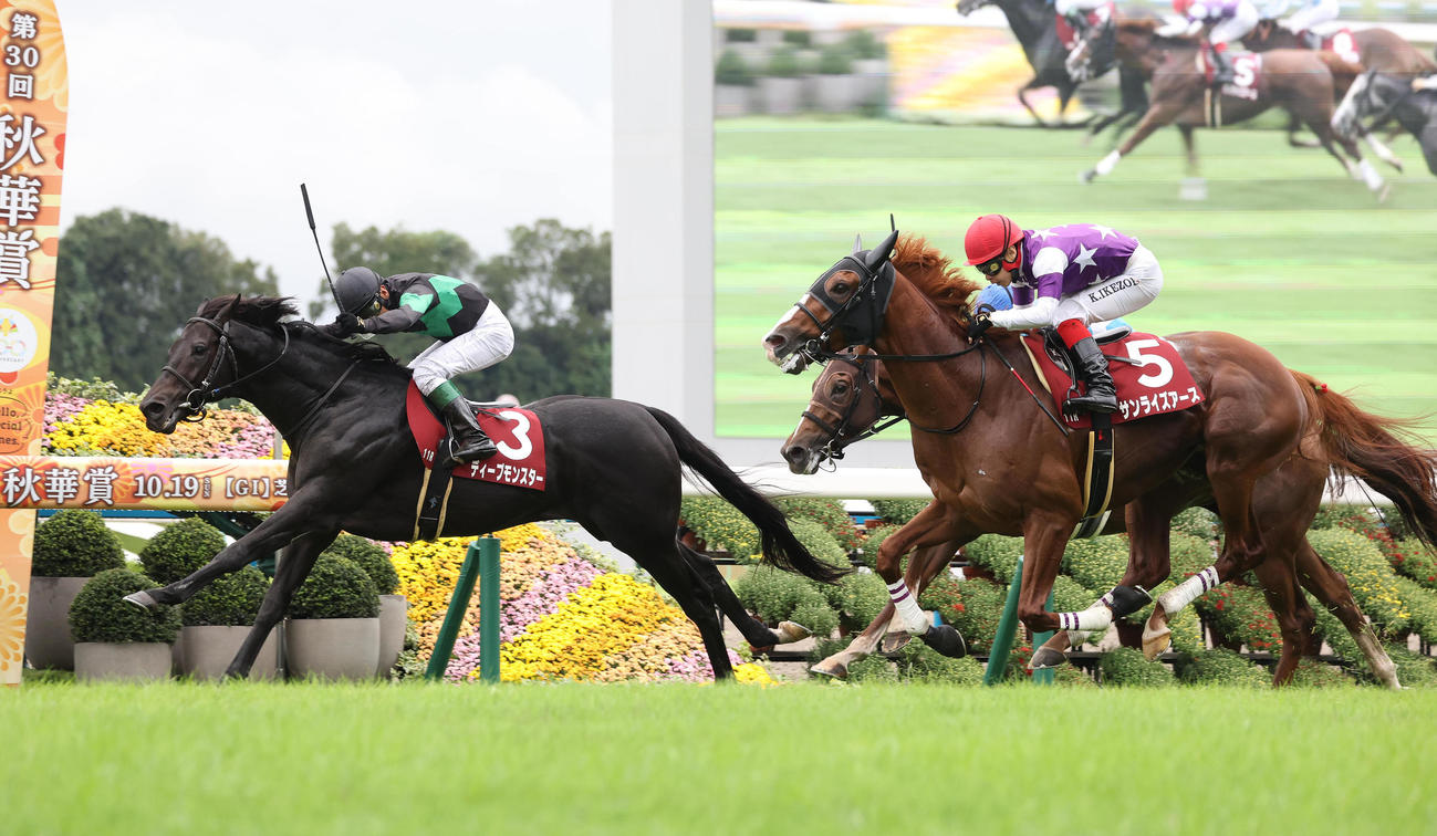 あわや落馬！からのレース復帰 レイバックスピンが何とか完走 レースは３連単７００万円超の大荒れに競馬ニュース・特集なら東スポ競馬