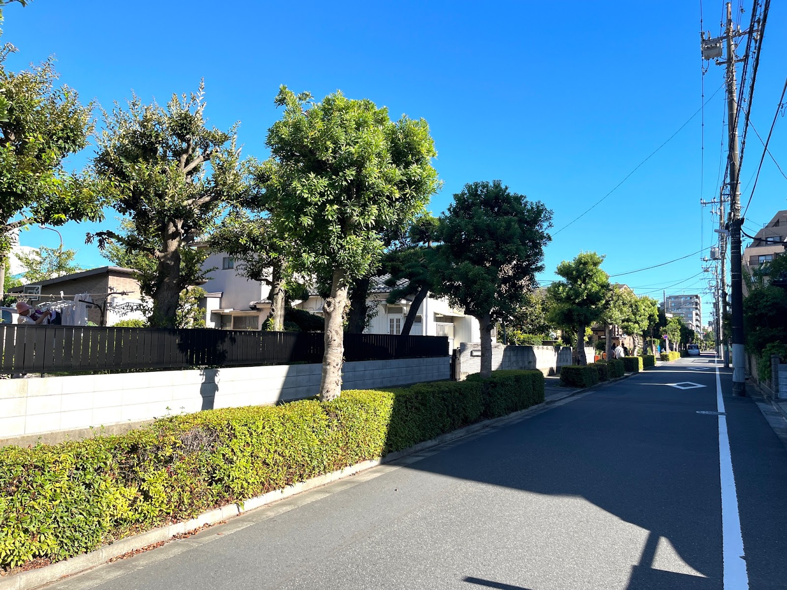 グリーンパーク北綾瀬壱番館5階・ ウィル不動産販売 物件番号：592708R