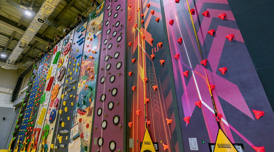 「ピーターパンになったみたい」国内最大級のアスレチック「ノボルト」オープン福岡