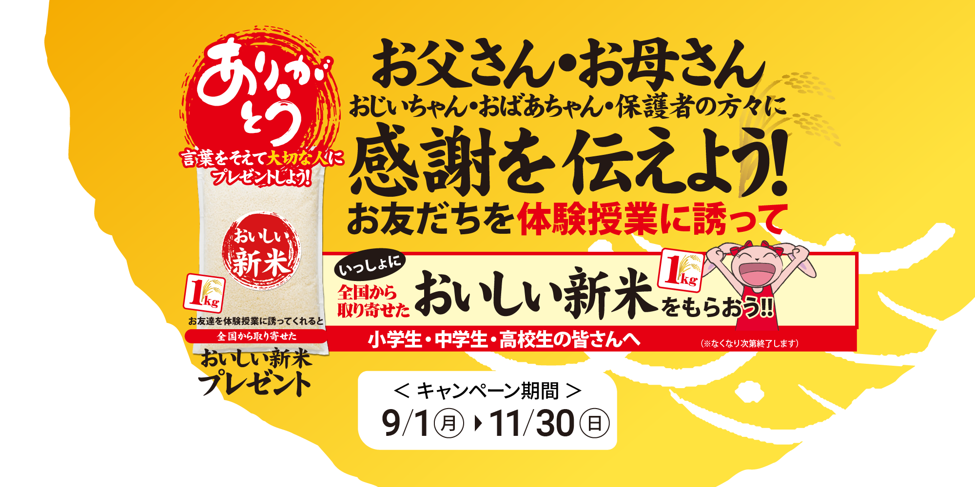 無くなり次第終了 100名様限定『英語でTEA TIME』参加特典、紅茶をプレゼント‼日本在住ネイティブ講師と在宅個人レッスン