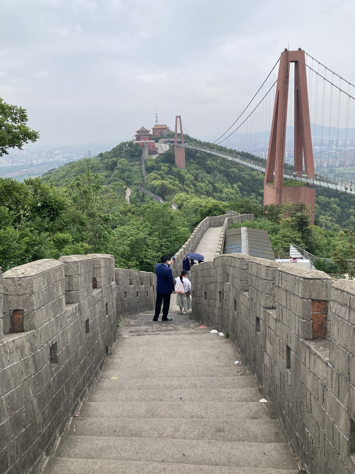 造船用鋼板産業の展望と現状