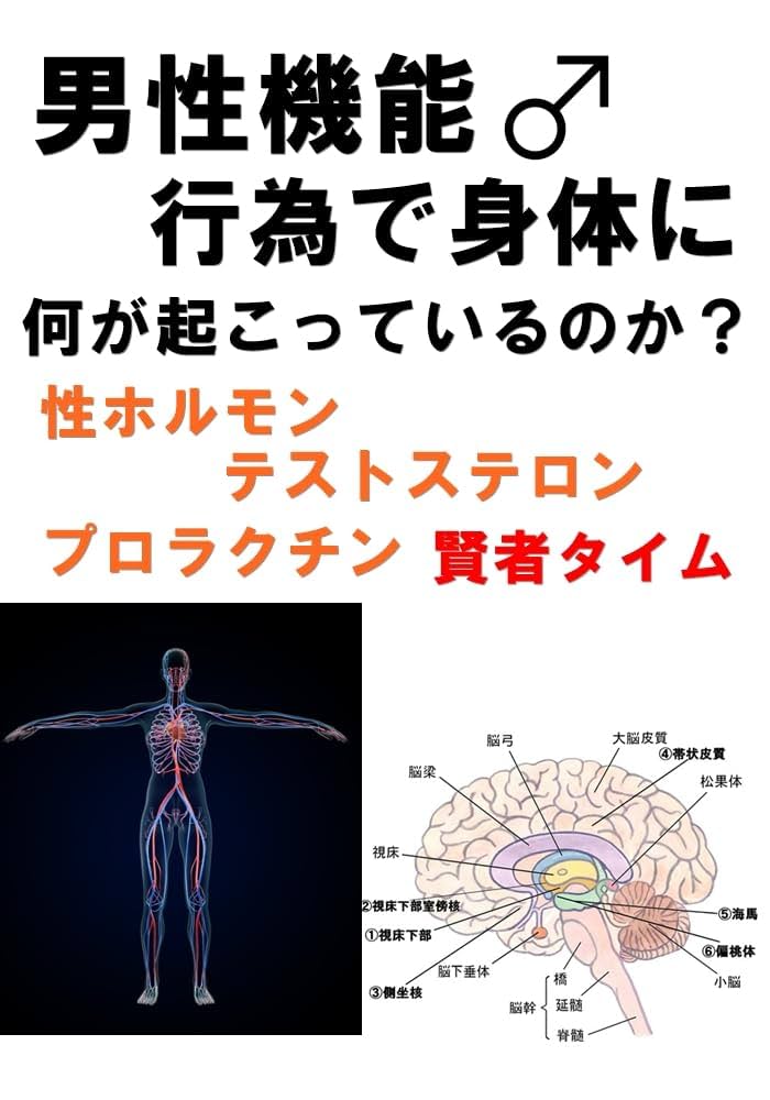 大久保公園“立ちんぼ”35人摘発…逮捕で更生に繋がる？「法律が古い。新しくデザインしないと」説教型支援は逆効果？ | 国内 |