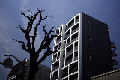 Amazon.co.jp: 無能の人・日の戯れ新潮文庫: つげ 義春: 本