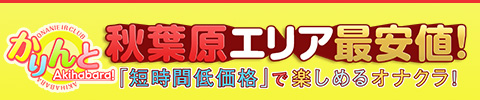 オナクラ＆手コキ専門 ハンドヘルス【かりんと神田】