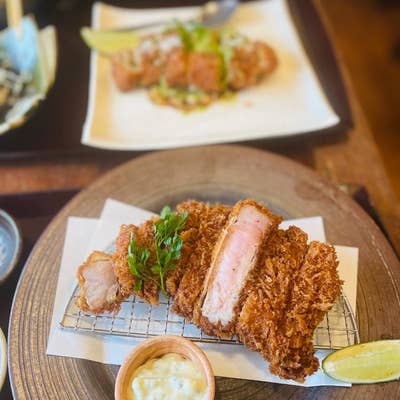 料理メニュー一覧：とんかつ レボリューション(大阪府八尾市山本町/とんかつ店) - PayPayグルメ