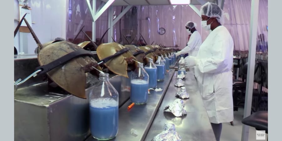 白血病のあざの特徴とは？～一般的なあざとの違いやあざができる原因について解説～メディカルノート