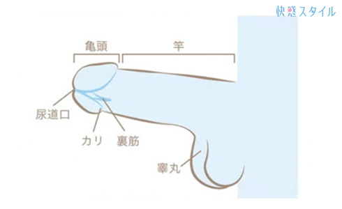 すぐに天国にイかせてあげるよ…手コキ上手いな！いつもそうやって抜いてるのかwww【BL同人誌・家庭教師ヒットマンREBORN!-リボーン-】 | 