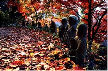 金昌寺 長野県上田市 お寺情報やさしいお葬式