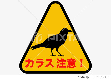 エンブレムにカラスが描かれている訳とは？ サッカー日本代表 各国代表football-emblem