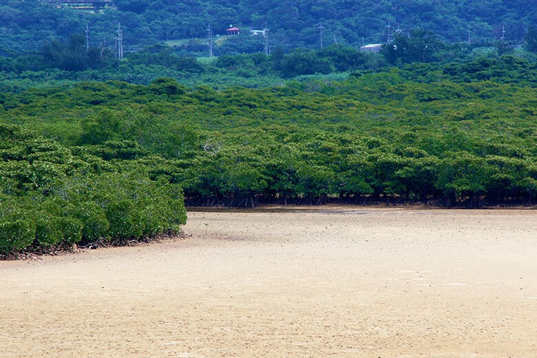 名蔵アンパル クチコミ・アクセス・営業時間石垣島 フォートラベル