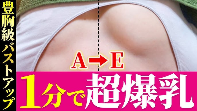 Yahoo!オークション -「はみ乳」(DVD) (アダルト)の落札相場・落札価格