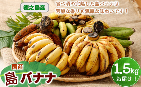 もっちり食感！島バナナ【2kg】｜78BANANA｜あぐりぴあ沖縄のハーブとミツバチ