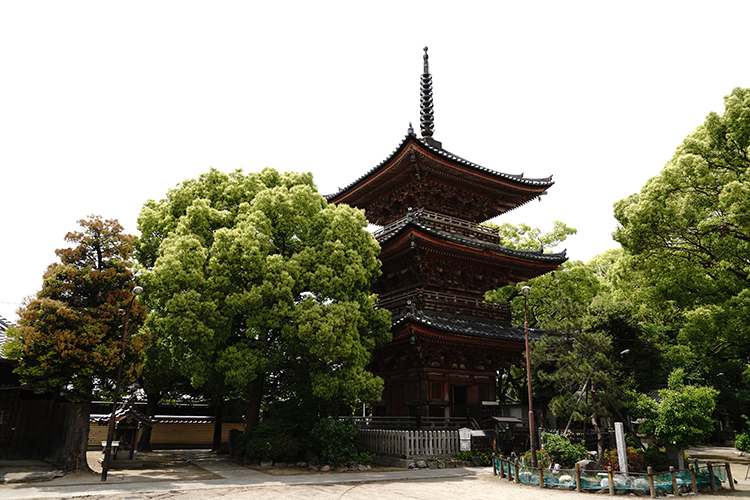 鳳凰山甚目寺（甚目寺観音）愛知県あま市 公式ウェブサイト - 愛知県あま市甚目寺東門前２４番地 電話