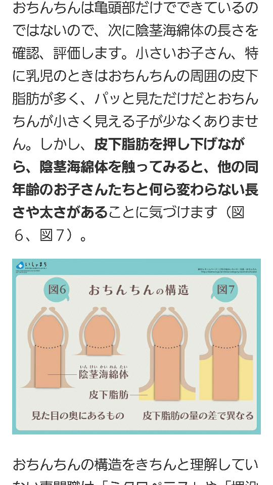 ペニスの大きさは平均どれくらい？日本人のペニスサイズや測り方、小さい原因を解説 | 包茎手術のノーストクリニック【公式】